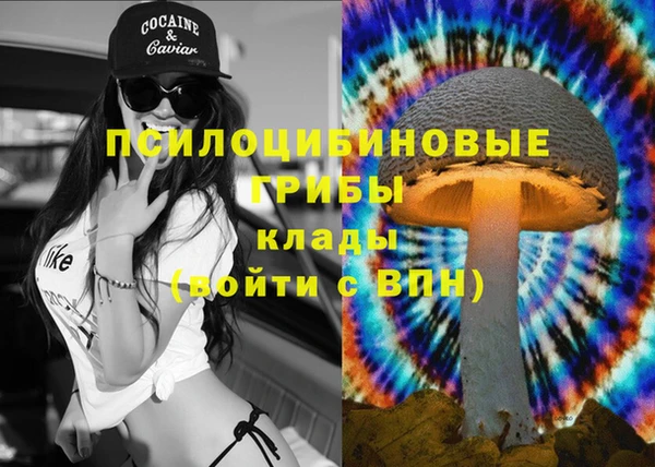 гашик Алексеевка
