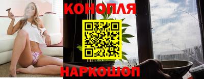 прущие крисы Шелехов