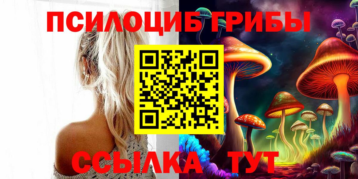 Псилоцибиновые грибы прущие грибы Старая Русса