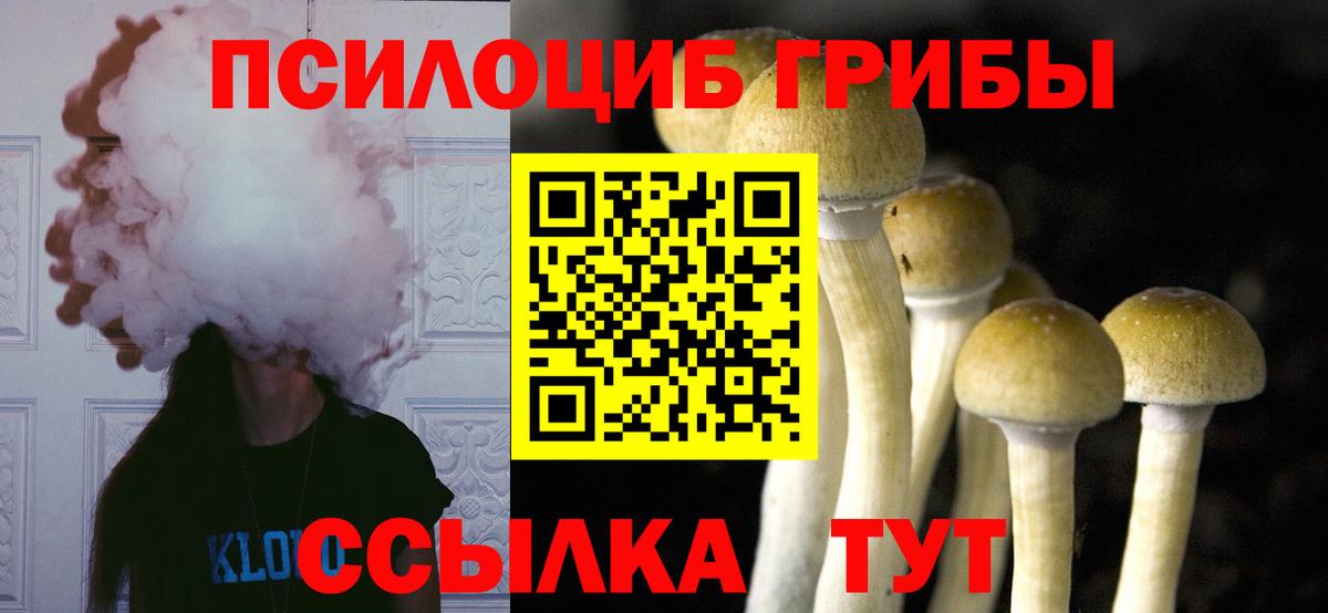 Старая Русса  Псилоцибиновые грибы Psilocybine cubensis  купить наркотик  Вход с VPN  Галлюциногенные грибы Cubensis 